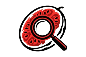 只是结婚的关系电视剧全集 - 吃瓜社Logo